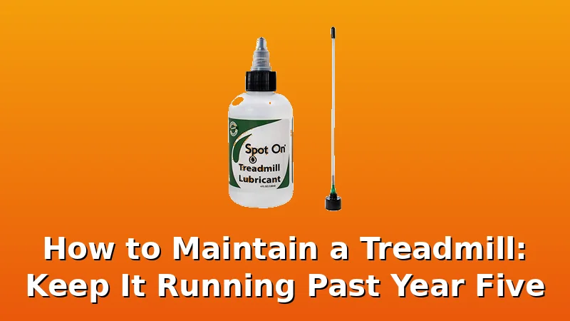 How to Maintain a Treadmill: Keep It Running Past Year Five - Gait Hive review with measurements and honest opinion